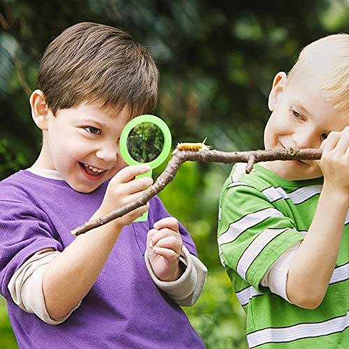 5 Containers+Butterfly+Magnifying+Binoculars+Telescope