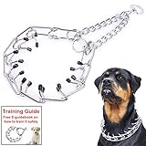 Mayerzon Dog Prong Collar, Classic Stainless Steel Choke Pinch Dog Chain Collar with Comfort Tips, 5 (XL-23.6
