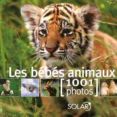 Les  bébés animaux