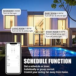 5 Blade Smart Ceiling Fan with Lights, 10-speed