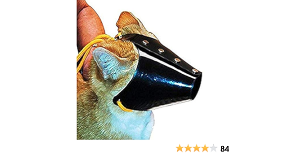 leather cat muzzle
