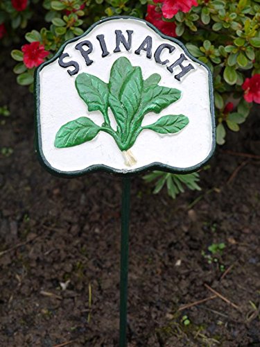 Brown & Ginger Colourful Hand-Painted Veg Signs - Various Styles Available (Spinach)