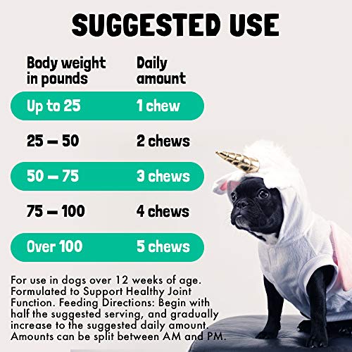 LEGITPET Hemp Hip & Joint Supplement for Dogs - 120 Soft Chews - Made in USA - Glucosamine for Dogs - Chondroitin - MSM - Turmeric - Hemp Seed Oil - Natural Pain Relief & Mobility