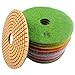 Konfor Diamond Polishing Pads 5