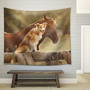 Red Border Collie Dog and Horse Together at Sunset in Summer - Fabric Wall Tapestry Home Decor - 51x60 inches