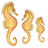 Underwater Tropical Seahorse Wall Sticker Mural