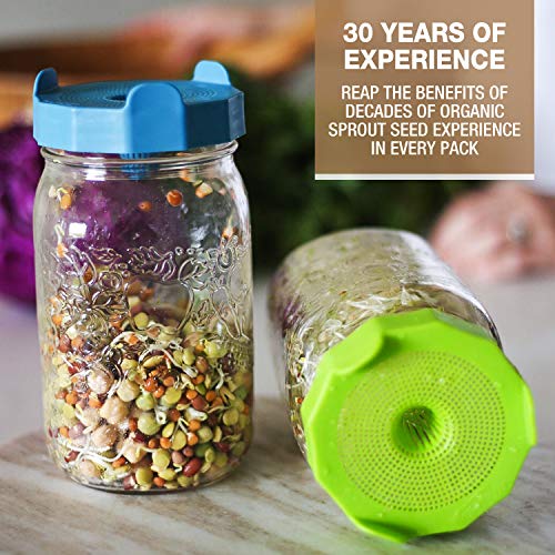 Mumm's Sprouting Seeds - Classic Big Broccoli Sprouts - 200 GR - Sprout Your Own Organic Microgreens - Easy Sprouter Kit