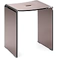 Navaris Gray Acrylic Shower Bench - Waterproof Stool for Bathroom or Vanity 17.1" x 14.6" x 11" - Modern Glam Transparent Seat - Holds up to 220 lbs