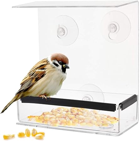 Amazon Com Tfwadmx Window Bird Feeders With Strong Suction Cups