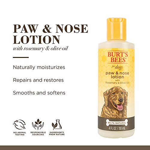 Burt's Bees for Dogs Natural Paw & Nose Lotion with Rosemary & Olive