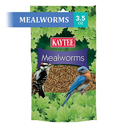 Kaytee Wild Bird Food Mealworms For Bluebirds, Wrens, Robins