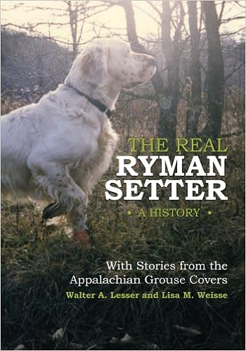 ryman setters for sale