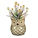 YLINGSU 2.5 Inch Owl Succulent Plants Pots Ceramic Set, Cactus Plant Pot,Mini Flower Pot, with A Hole Perfect owl Gifts (6 Pack)