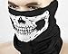 Qinlee Neck Tubular Windproof Skull Face Mask Ghost Harley Ski Seamless