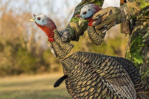 Avian-X HDR Jake Turkey Decoy - Image 2