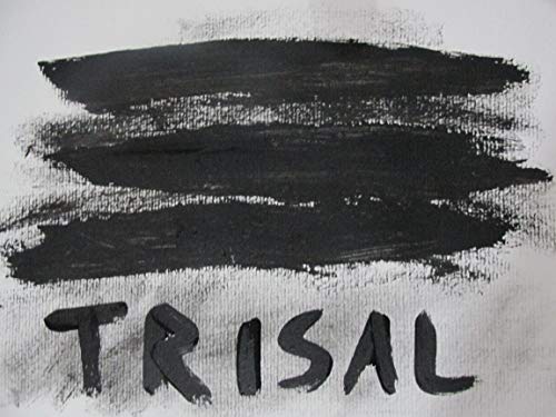 Trisal - eBook, Resumo, Ler Online e PDF - por Marcelo VALADÃO