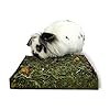 Rosewood-Naturals-Nibble-n-Dig-Meadow-with-Dandelion-and-Blossoms-for-Small-Animals Rosewood Naturals Nibble 'n' Dig Meadow, Rabbit Treats & Small Animal Treats, 200g