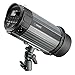 Neewer 300W 5600K Photo Studio Strobe Flash Light Monolight with Modeling Lamp, Aluminium Alloy Construction for Indoor Studio Portrait Photography