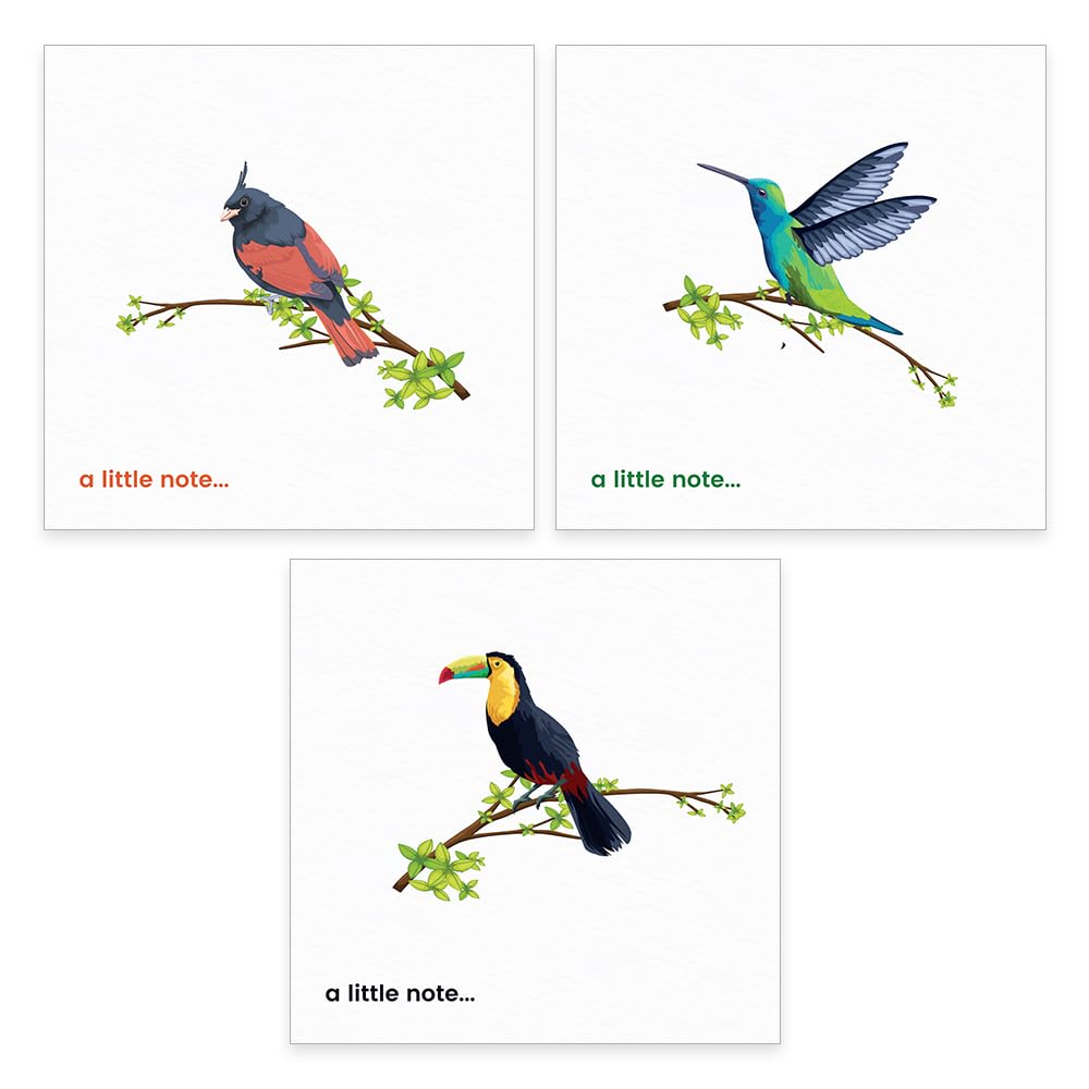 Papa Prints Pack of 12 Notelets and Envelopes Sets (145 x 150 mm) Blank Cards and Envelopes Note Cards Set with Envelopes Note Card