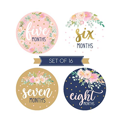 3 Milestone+Stickers+Monthly+Scrapbook+Registry