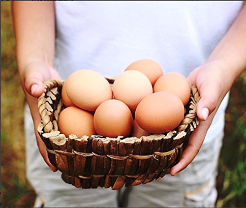 2 Organic+Valley+Free+Range+Medium+Eggs