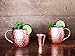 Set of 4 Moscow Mule Copper Mugs with Stainless Steel Lining and Shot Glass in Gift Box, Premium Food Safe Double Wall Heavy Copper Cups for Everyday Use