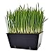 Bootstrap Farmer 5 x 5 Seed Tray Inserts Extra Strength, 40 Pack Black, Grow Microgreens, Wheatgrass Seeds, Hydroponic 801 Trays