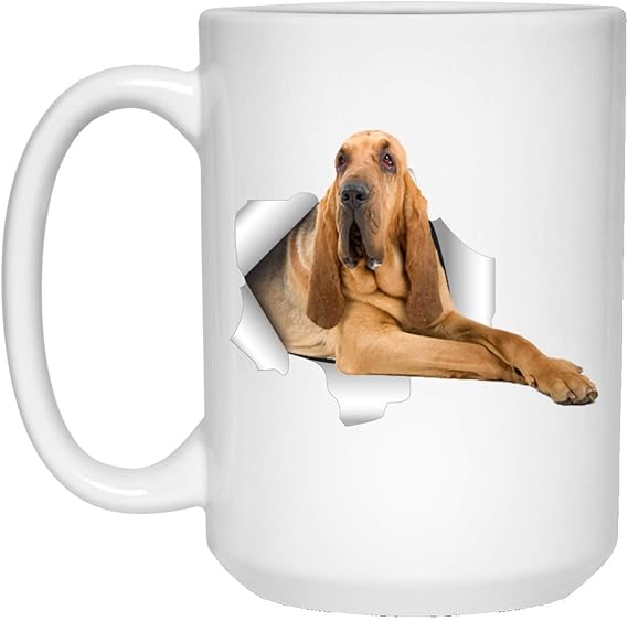 funny bloodhound