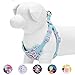 Blueberry Pet Soft & Comfy Made Well Cute Floral No Pull Mesh Dog Harness Vest in Light Blue, Chest Girth 17.5