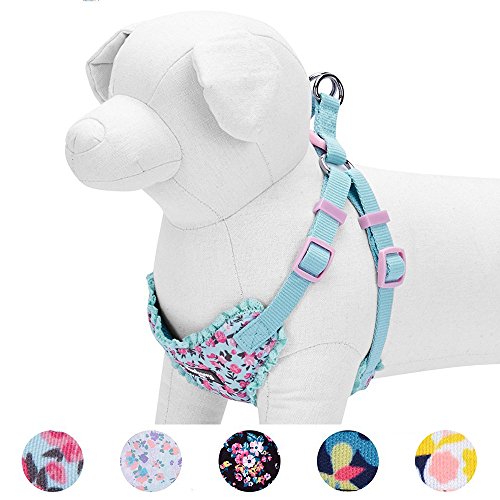 Blueberry Pet 10+ Patterns Soft & Comfy Spring Scent Inspired Floral/Camo Print Dog Harness Vests, Harness Dresses