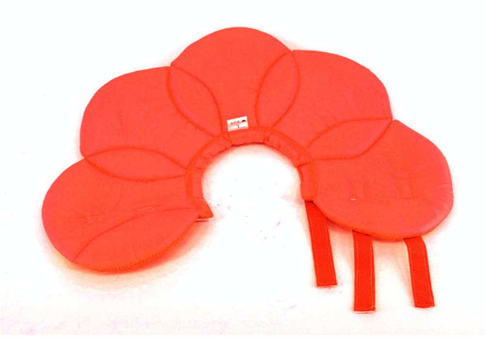 low cost orthopedic vet