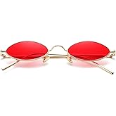 COASION Vintage Small Oval Aesthetic Sunglasses Retro for Women Men Hippie Cool Metal Frame Sun Glasses