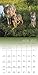 Wolves Wall Calendar (2017)