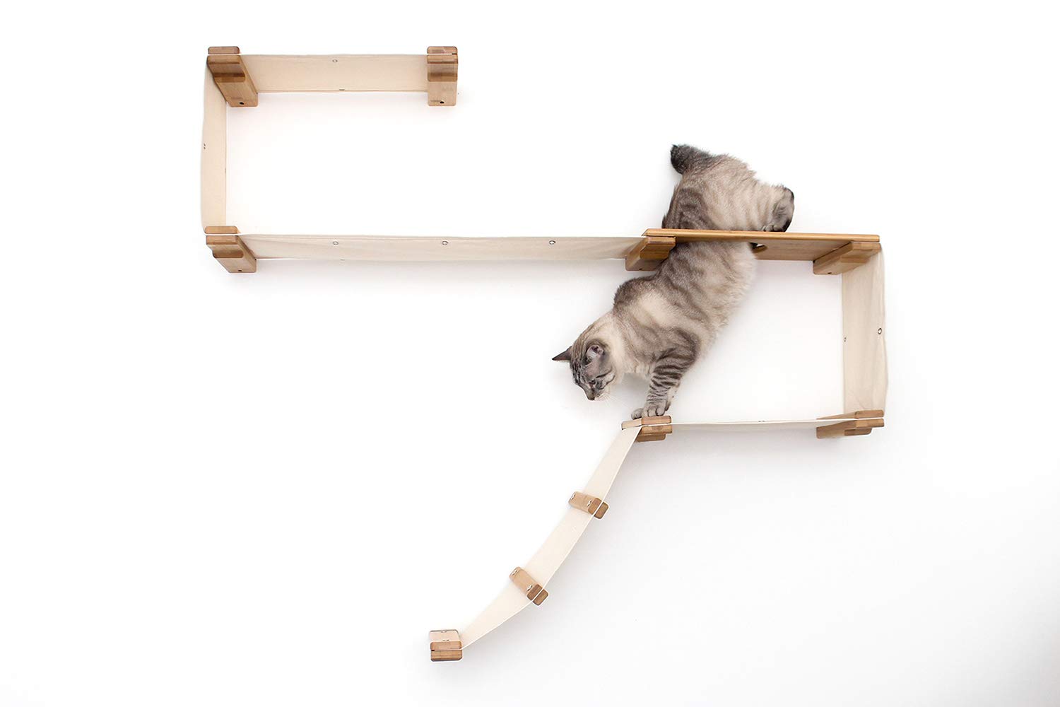 cat wall activity centre
