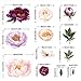 HAOKHOME Large Peony Flowers Wall Sticker for Nursery Bedroom Living Room Wall Decor