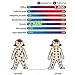Rando Magnetic Therapy Bracelets Men Women Titanium Steel Link Chain Health Energy Bracelet Bangle Power Germanium Magnets Bracelets Arthritis Pain Relief (Gold)
