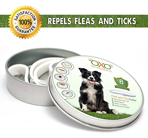 OXO PET PRODUCTS Tick and Flea Collar For Dogs. Natural Repellent With Essential Oils.8 Months Protection.BEST Natural Pest Solution For Dogs Of All Sizes and Ages. Waterproof. BioTech Guard. 25
