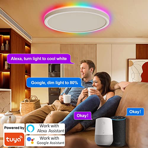 Aphyni AIJIA RGB Smart Ceiling Light 24W 12Inch Ultra Thin Flush