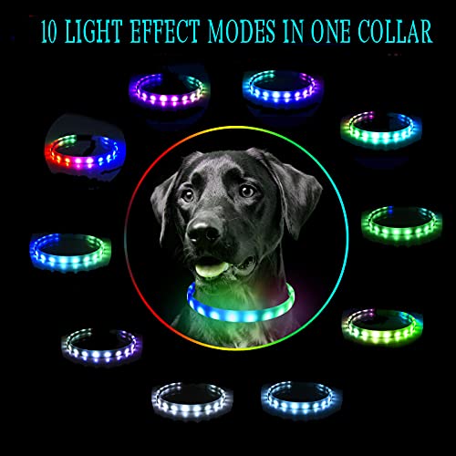 usb led dog collar
