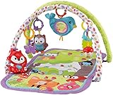 Fisher-Price 3-in-1 Musical Activity Gym