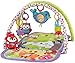 Fisher-Price 3-in-1 Musical Activity Gym