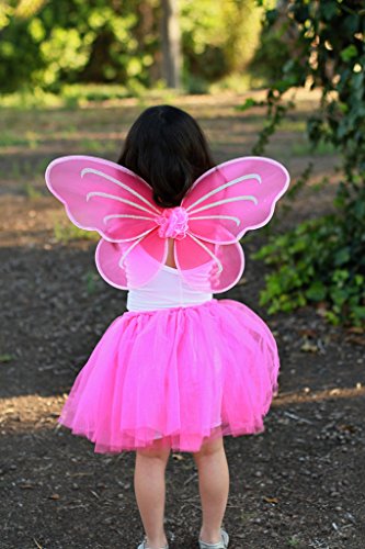 Party Favor Butterfly Wing (Set of 6) Color: Hot Pink