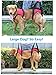 Dogs Lift Harness - Dogs Lift Support Rehabilitation Harness Helping Support for Elderly or Arthritis Dogs (REAR-L, Red)