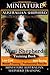 Miniature Australian Shepherd Training Book for Mini Aussie Shepherd Dogs By D!G THIS DOG Training: Mini Shepherd Training Book, Low Cost - Time ... Miniature Australian Shepherd Training by 