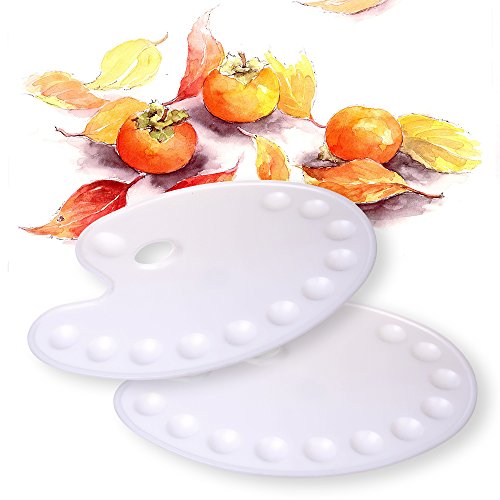 2 Pcs Paint Tray Palette Plastic, 11 inch by 14.5 inch, 12 Wells, for Professional Art Painting