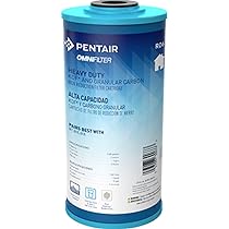 Pentair OMNIFilter BF36C Whole House Water Filter System - 10" Big Blue Housing With Bypass, 1" NPT