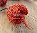 Dried Organic Carolina Reaper Peppers | World's Hottest Chili Pepper! (20)