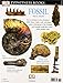 DK Eyewitness Books: Fossil