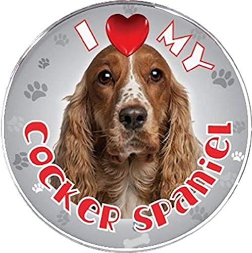 coc spaniel