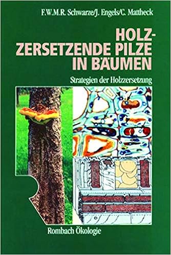 Holzzersetzende Pilze In Baumen Strategien Der Holzzersetzung Amazon De Schwarze Francis Engels Julia Mattheck Claus Bucher